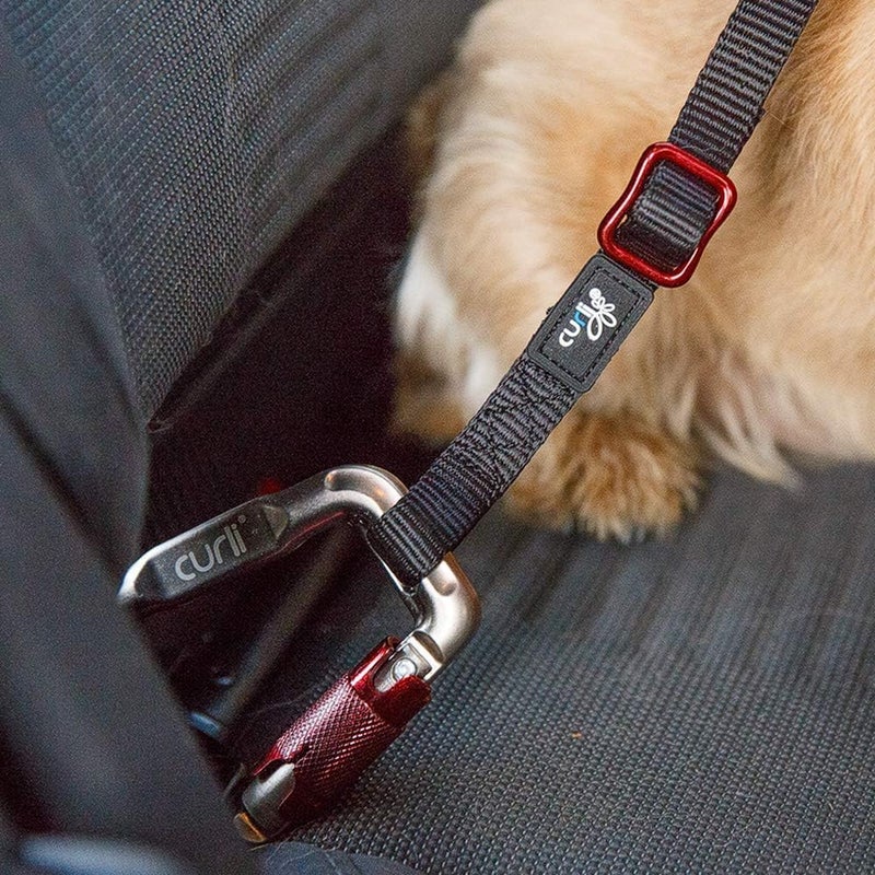 Curli Car Safety Belt 60cm - Image 3